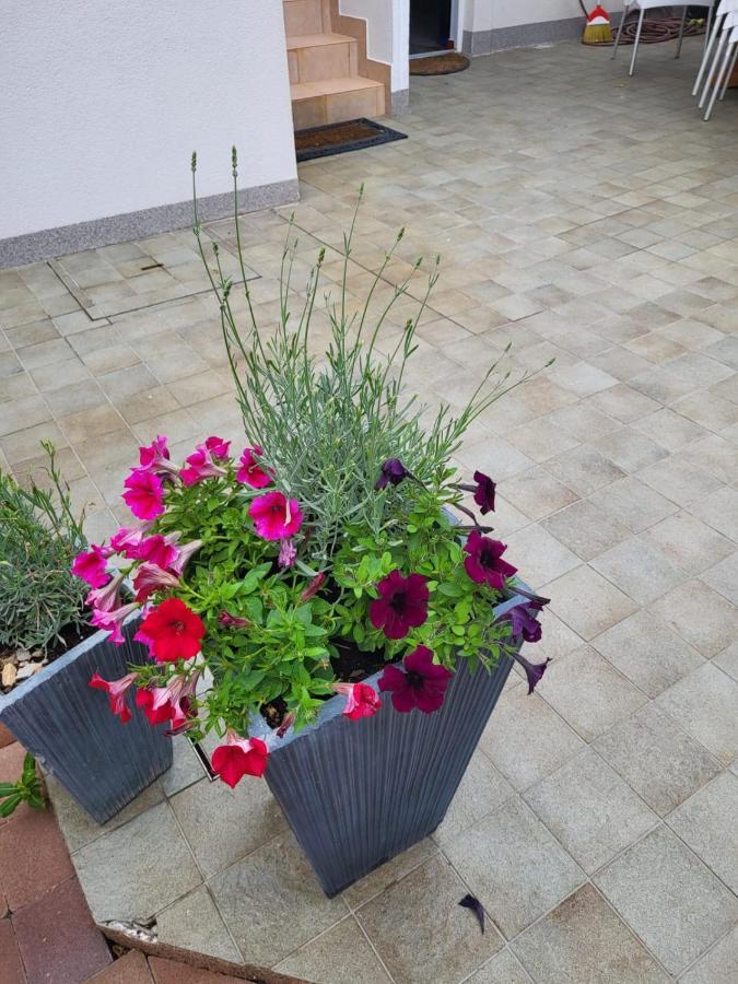 Apartments Kaja พาก ภายนอก รูปภาพ